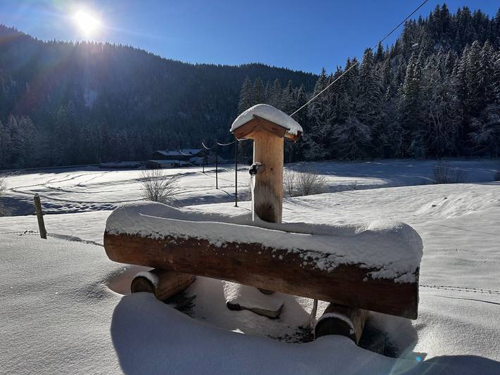 Ganze Ferienwohnung, Mitteralm-Kreuth - Chalet Max in Kreuth, Bayerische Alpen