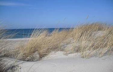 Ferienwohnung für 3 Personen, mit Terrasse in Graal-Müritz