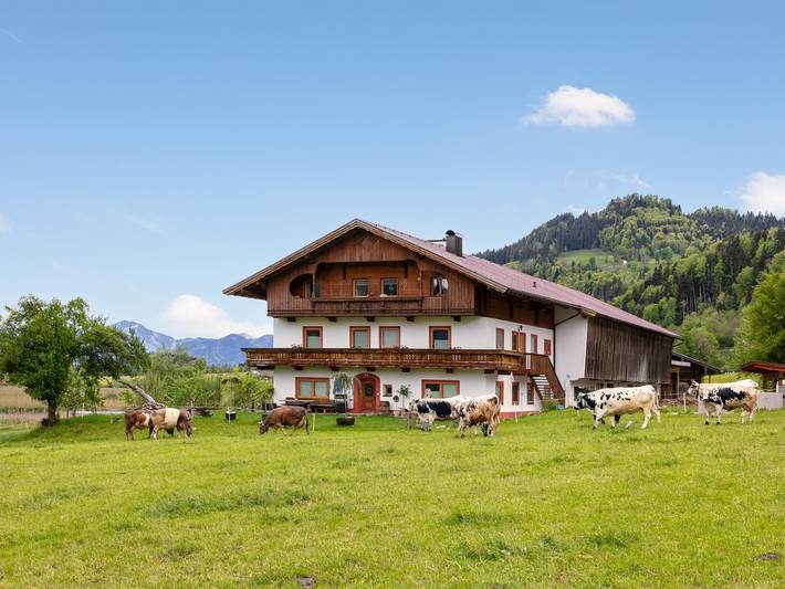 Ferienwohnung für 10 Personen, mit Balkon und Garten am Kaiserwinkl - 2