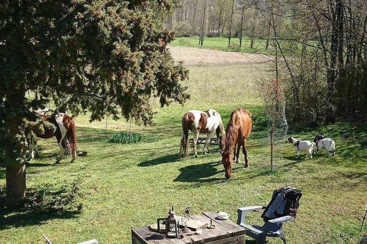 Location de vacances pour 10 personnes, avec jardin à Sérignac