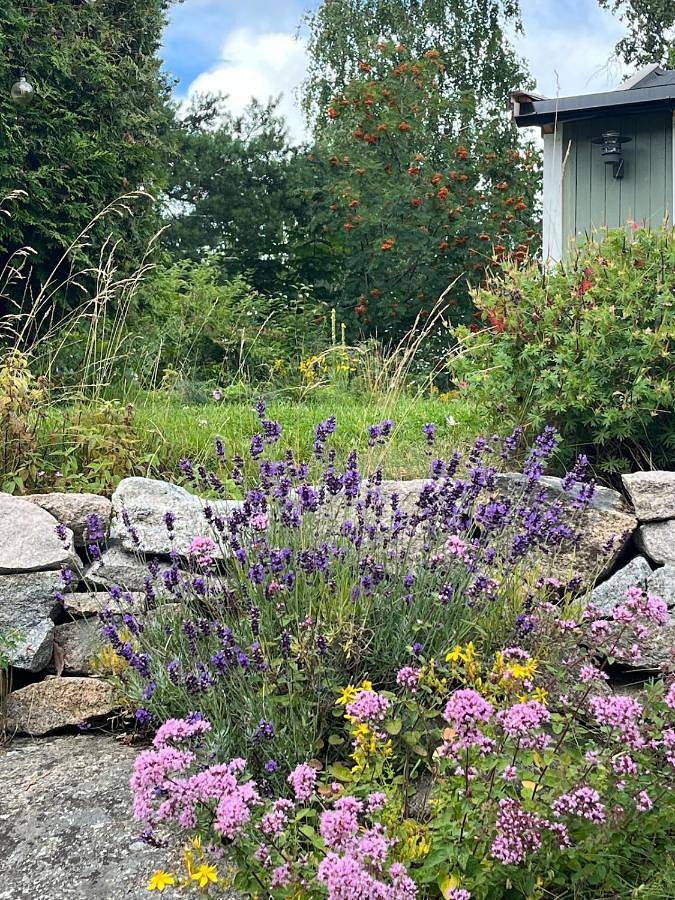 Ferienwohnung für 2 Personen, mit Garten und Terrasse in Fredrikstad - 3