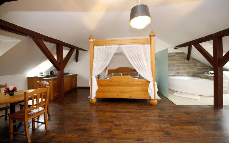 Hôtel pour 4 personnes, avec jacuzzi ainsi que terrasse et sauna, animaux acceptés à Mladá Boleslav - 2