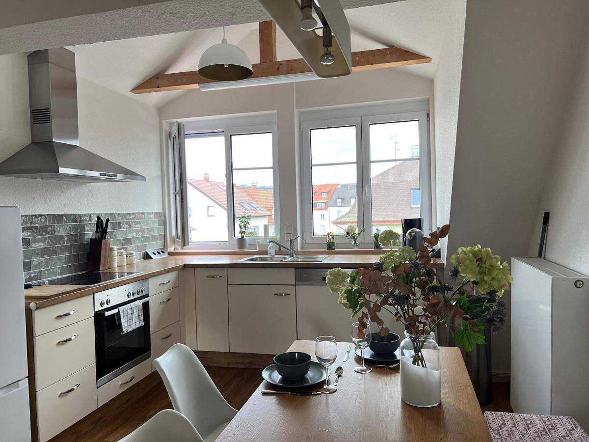 Appartement entier, Schöne Altbauwohnung mit großer Dachterrasse für bis zu 7 Personen in Lörrach, Forêt-Noire du Sud