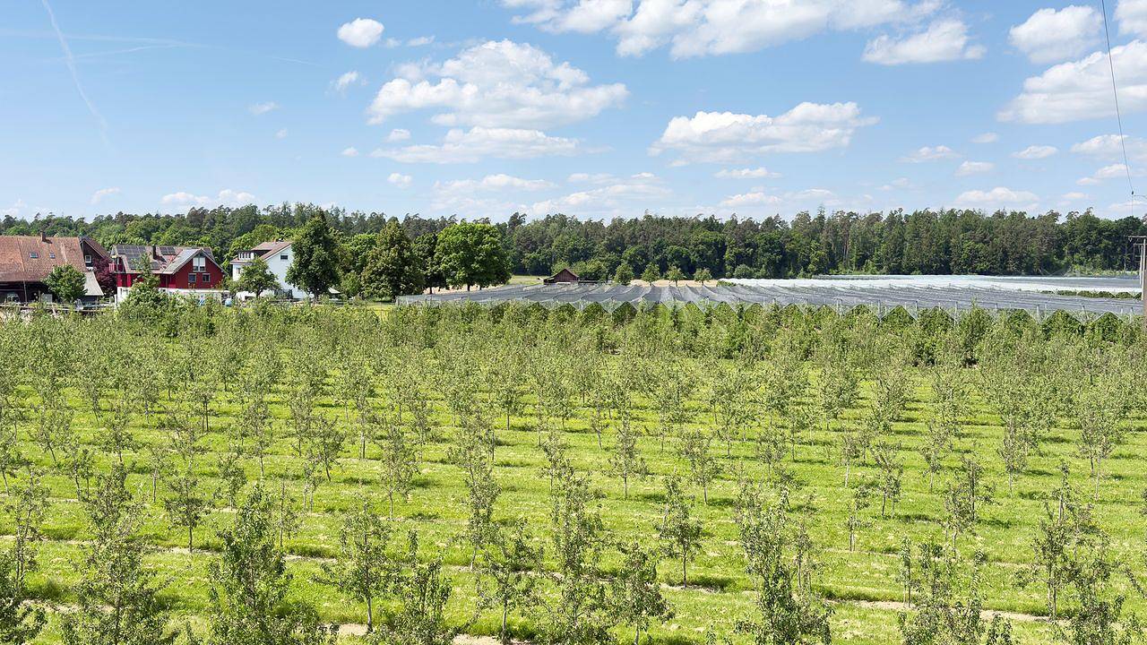 Ganze Ferienwohnung, Ferienwohnung für 8 Personen (130 m²) in Langenargen in Langenargen, Region Bodensee-Oberschwaben