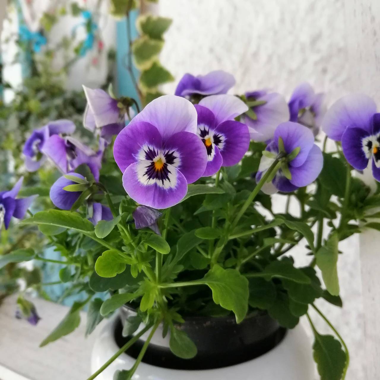 Tea House Gerês in Vilar da Veiga, Gerês