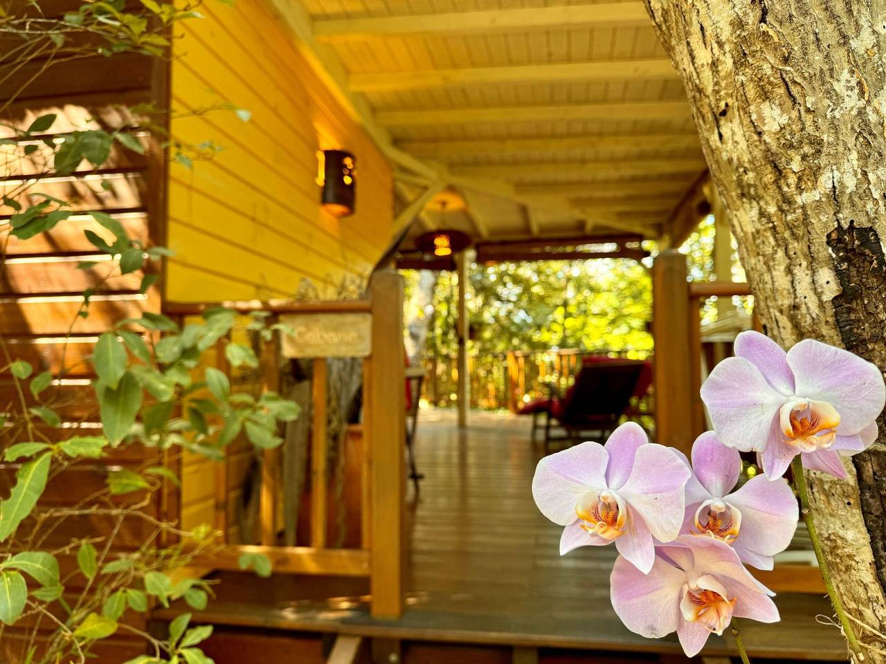 Cabane Aux Etoiles Au Jardin des Colibris (Sternenhütte im Garten der Hummingbi in Deshaies, Guadeloupe