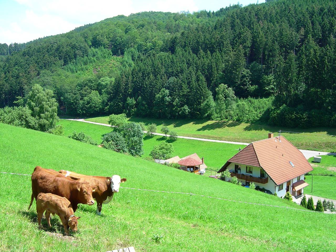 Ganze Wohnung, Schwarzwald-Bauernhaus in reizvoller Lage in Hofstetten, Mittlerer Schwarzwald