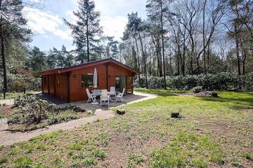 Bungalow voor 4 Personen in Holten, Sallandse Heuvelrug, Afbeelding 2