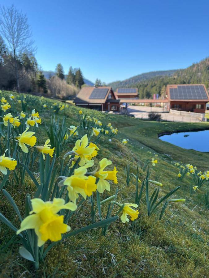 Hôtel pour 2 personnes, avec jardin et vue