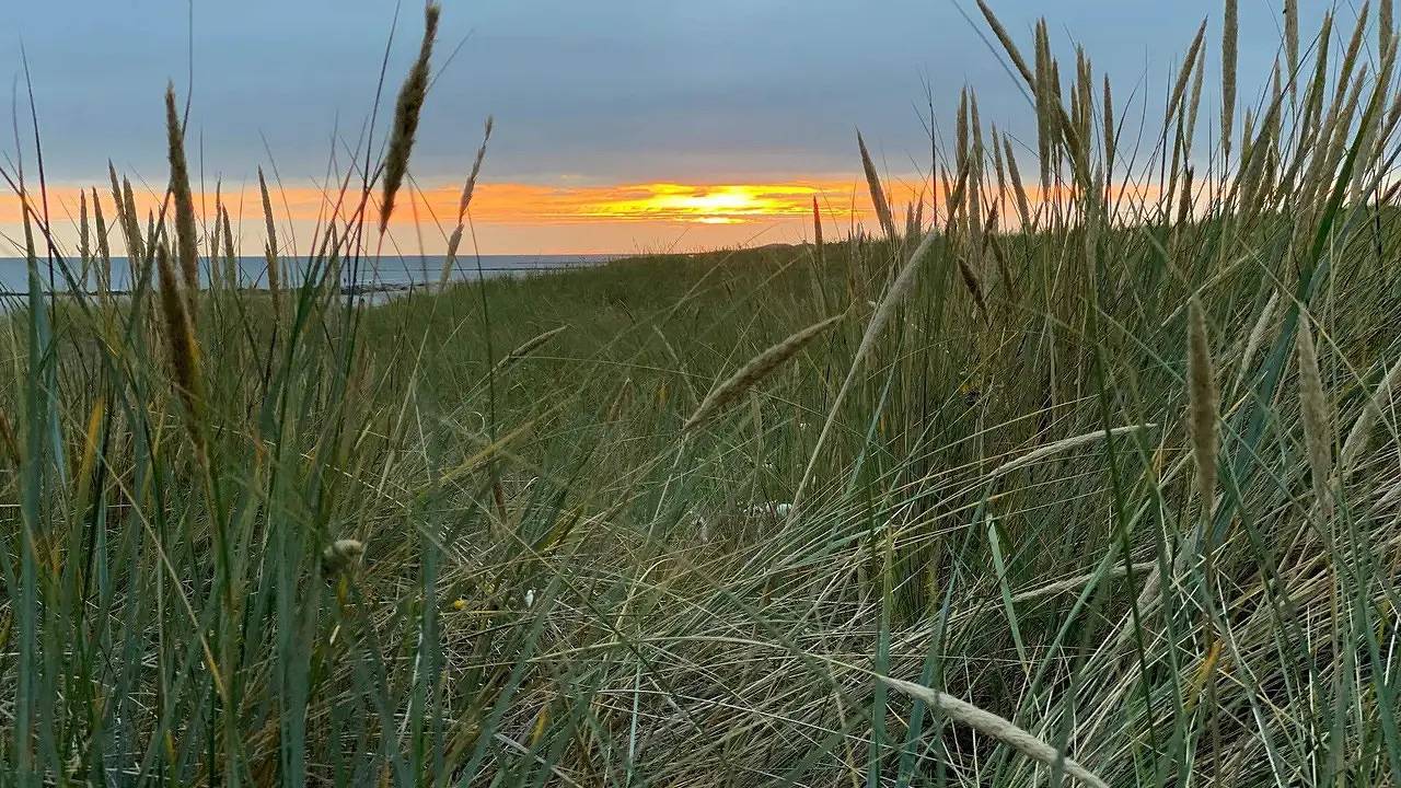 Ferienhaus für 10 Personen (180 m²) in Blåvand in Blavand, Varde