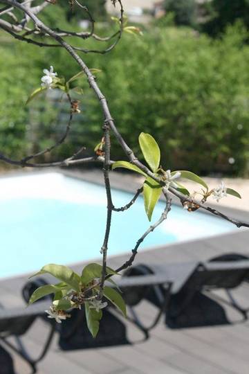 Chambre d’hôte pour 2 personnes, avec jardin et piscine à Saint-Siffret