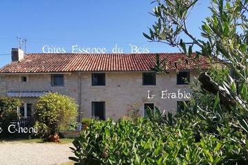 Gîte pour 10 personnes, avec terrasse ainsi que jardin et piscine, animaux acceptés à Vendeuvre-du-Poitou