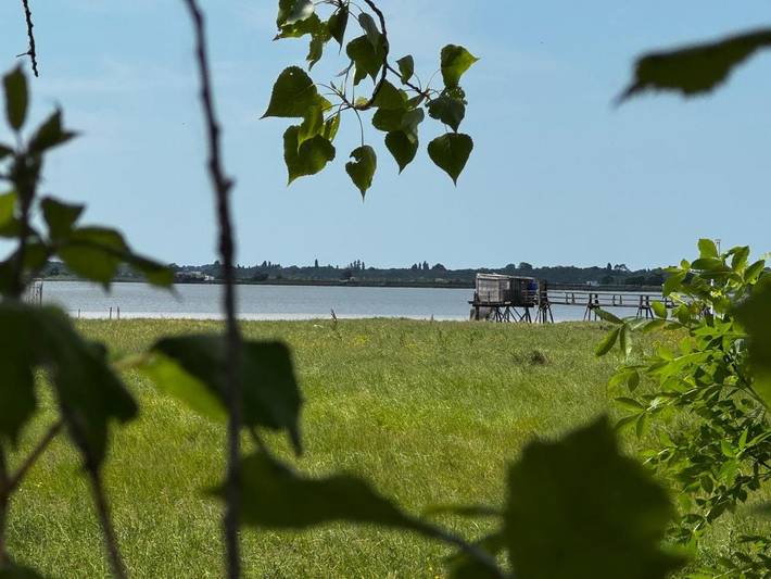 Gîte pour 2 personnes, avec piscine et terrasse, animaux acceptés à Vergeroux