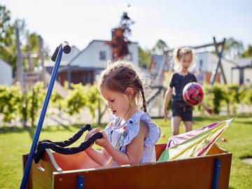 Loft voor 6 Personen in Limburg, Nederland, Afbeelding 4
