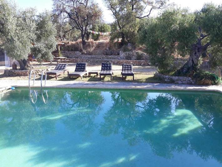 Albergue para 6 personas, con vistas además de piscina y jardín, Se admiten mascotas en Algodonales - 4