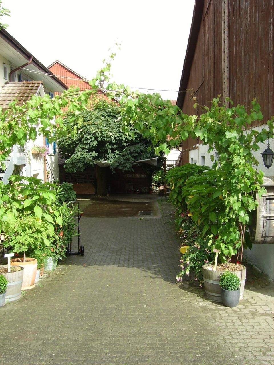 Double Room - Ground Floor in Trasadingen, Bezirk Unterklettgau