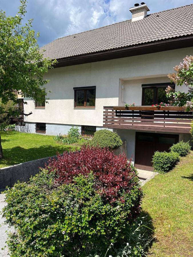 Gîte pour 4 personnes, avec vue et jardin dans Mojstrana