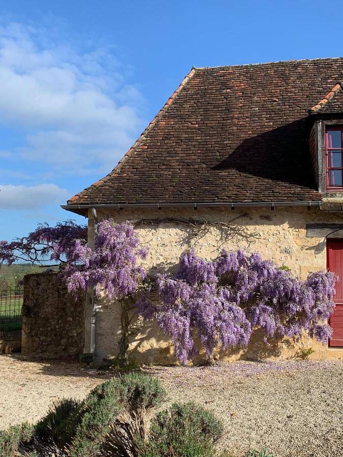 Gîte pour 9 personnes, avec piscine ainsi que jardin et vue à Bars - 2