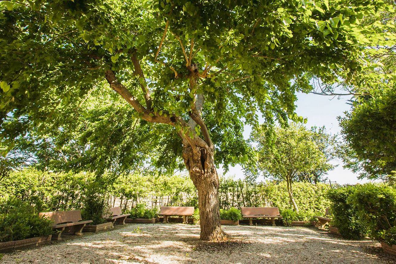 Ganze Wohnung, Il Casale Two-room apartment 4 beds on the ground floor in Castagneto Carducci, Etruskische Küste