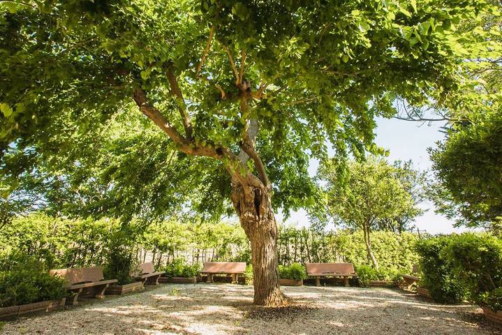 Ferienwohnung für 2 Personen, mit Pool in Castagneto Carducci - 4