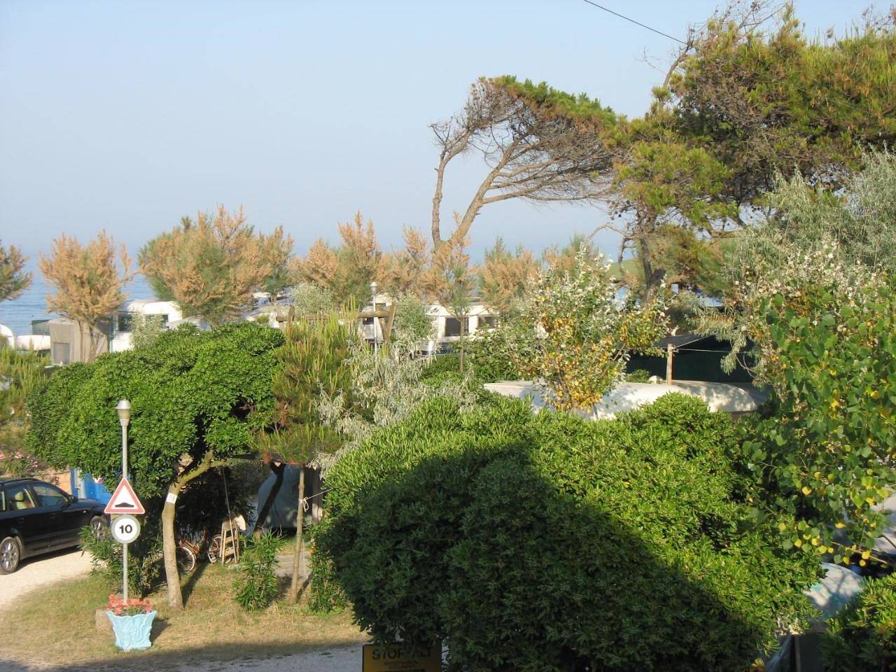 Camping La Pineta in Costa Adriatica Marche