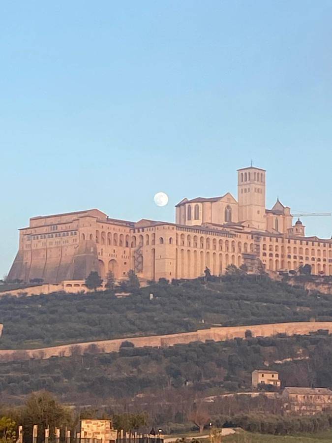Chambre d’hôte pour 2 personnes, avec jardin et terrasse à Assise - 4