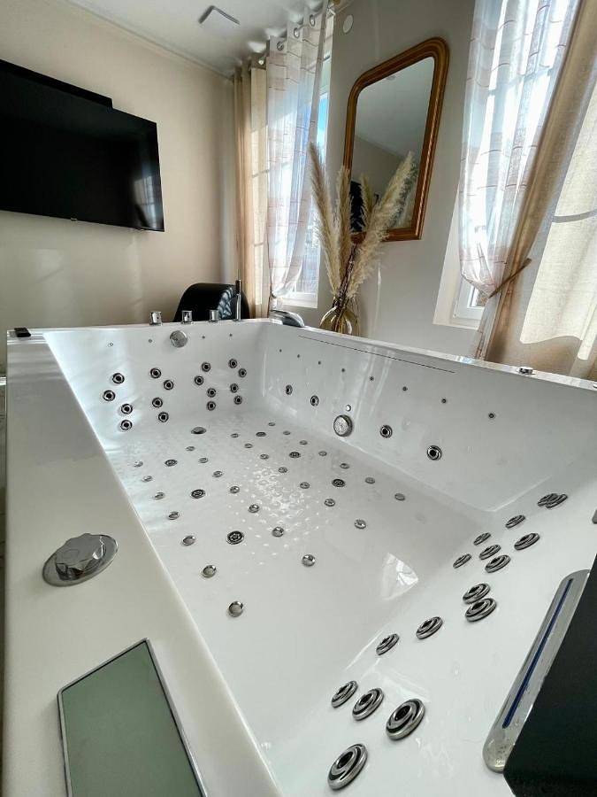 Location de vacances pour 4 personnes, avec jacuzzi et terrasse ainsi que sauna et jardin à Châlons-en-Champagne - 3