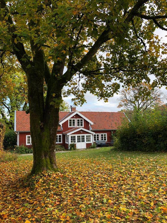 Villa für 8 Personen, mit Garten, kinderfreundlich in Schweden - 2