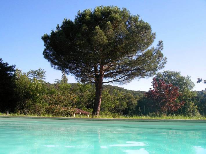 Location de vacances pour 2 personnes, avec jardin ainsi que vue et piscine, adapté aux familles à Vielmur-sur-Agout - 4