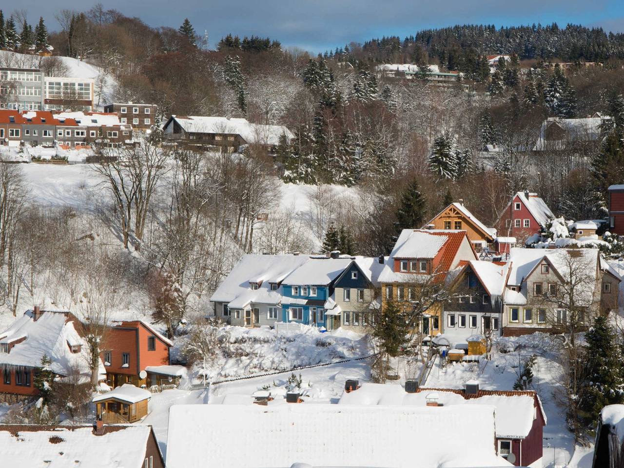 Haushimmelblau in Sankt Andreasberg, Braunlage