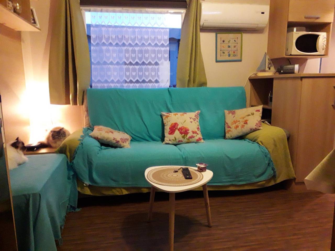 Mobil-home 39 m² 3 ch. / 6 pers., climatisé Camping La Réserve 4* in Gastes, Côte d’Argent
