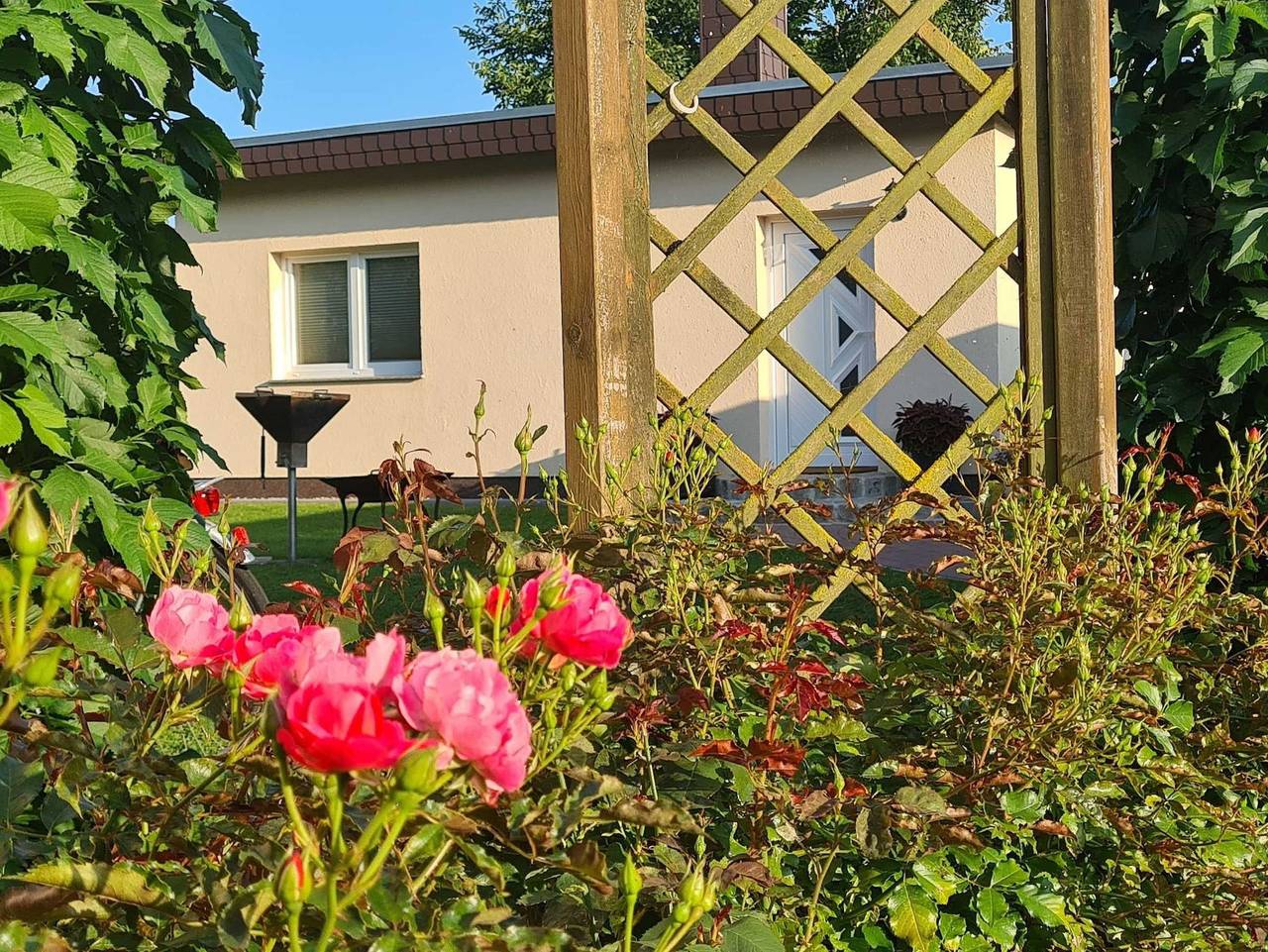 Garten-Ferienhaus Blengow Ostseebad Rerik - 1-Raum-Gartenhaus (48m², 2+1 Personen) in Rerik, Neubukow-Salzhaff