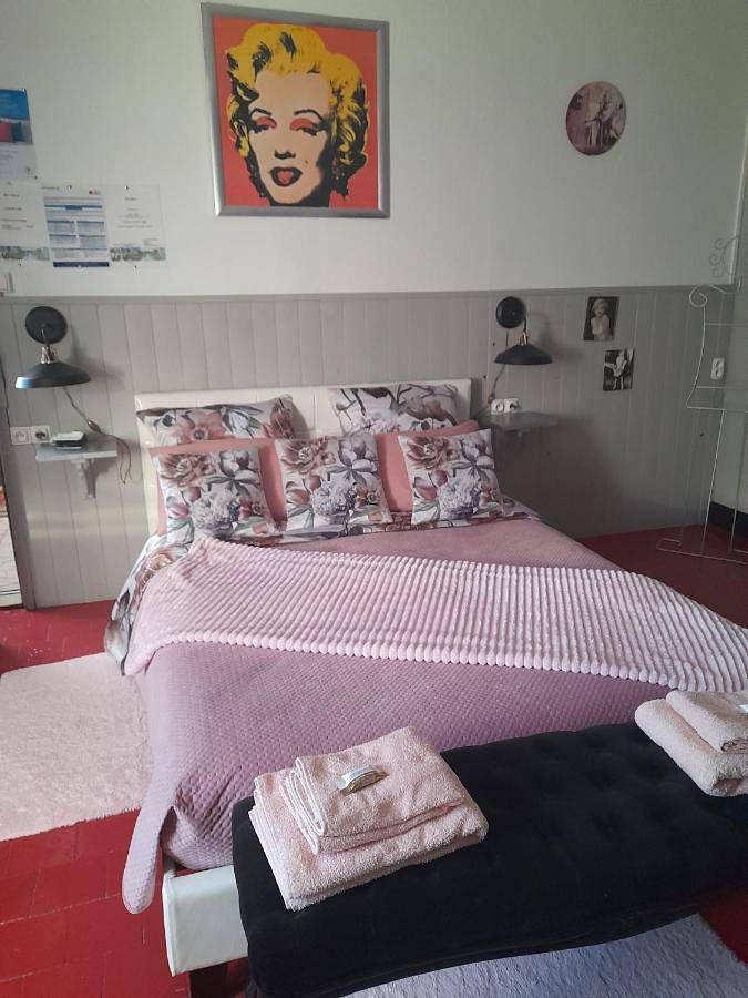 Maison d’hôte pour 5 personnes, avec vue et terrasse, adapté aux familles dans Loiret - 2