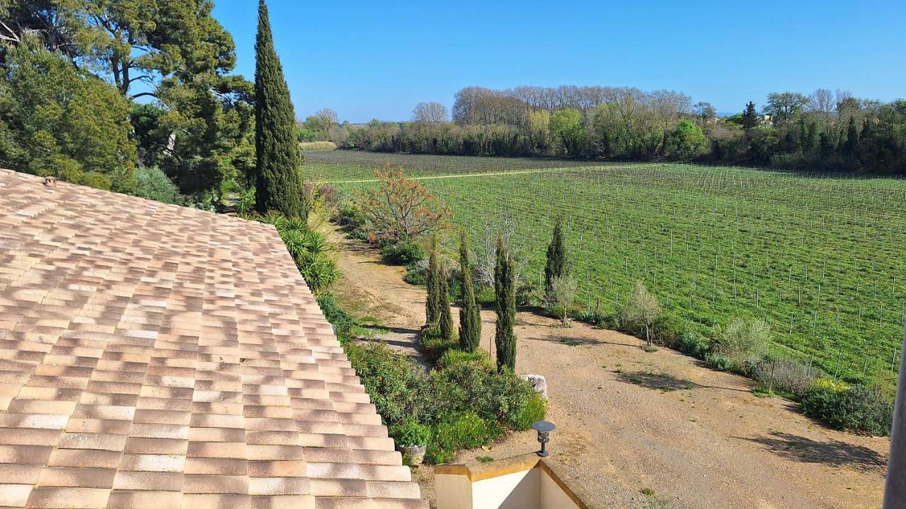 Ganze Wohnung, Domaine de l’Herbe Sainte in Sallèles-d'Aude, Mittelmeerküste (Frankreich)