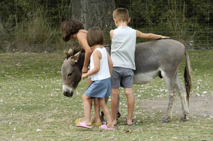 Camping für 6 Personen, mit Pool und Terrasse in Canet-en-Roussillon - 3
