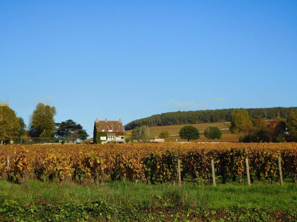 Double Room in Aloxe-Corton, Région de Beaune