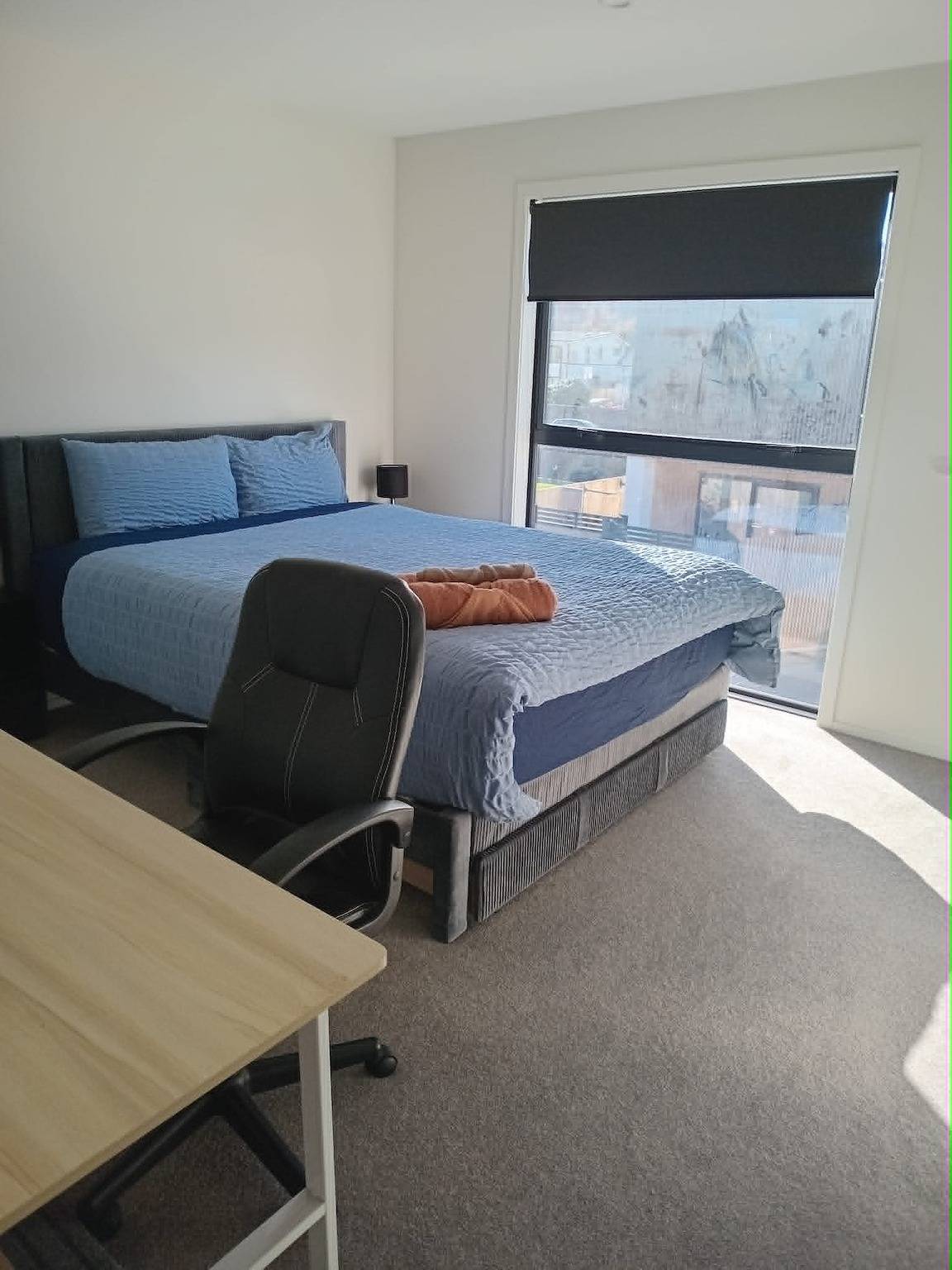 Ganze Wohnung, Erschwingliches ganzes Haus - perfekt für Familien und Gruppen in Wellington
