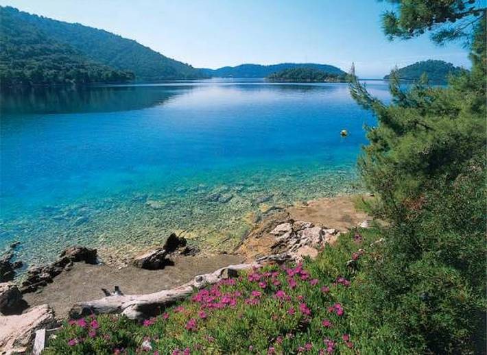 Location de vacances pour 4 personnes, avec jardin, animaux acceptés dans Lastovo - 3