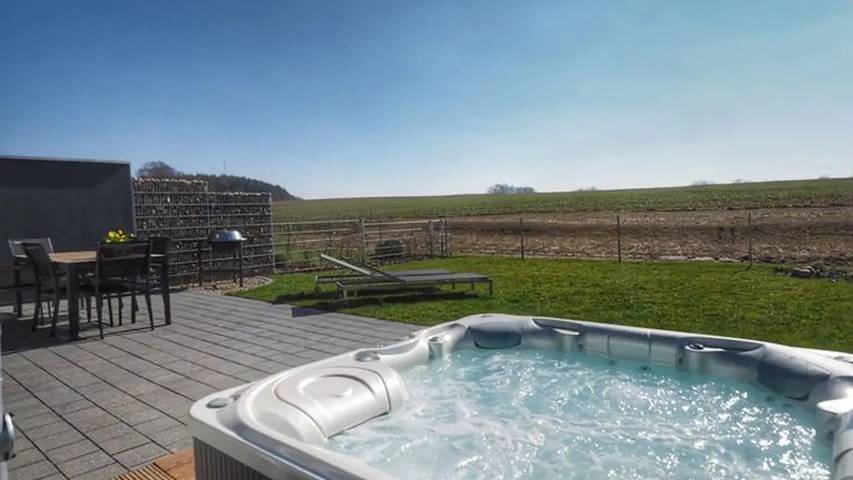 Ferienhaus für 8 Personen, mit Terrasse und Garten sowie Pool und Sauna in Göhren-Lebbin - 3