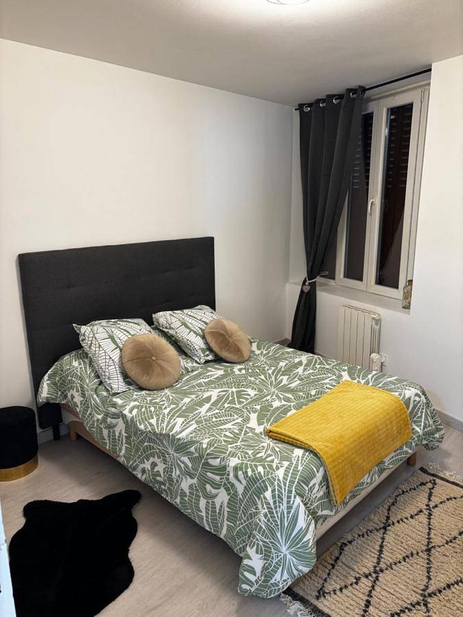 Gîte pour 4 personnes, avec terrasse à Givors - 3