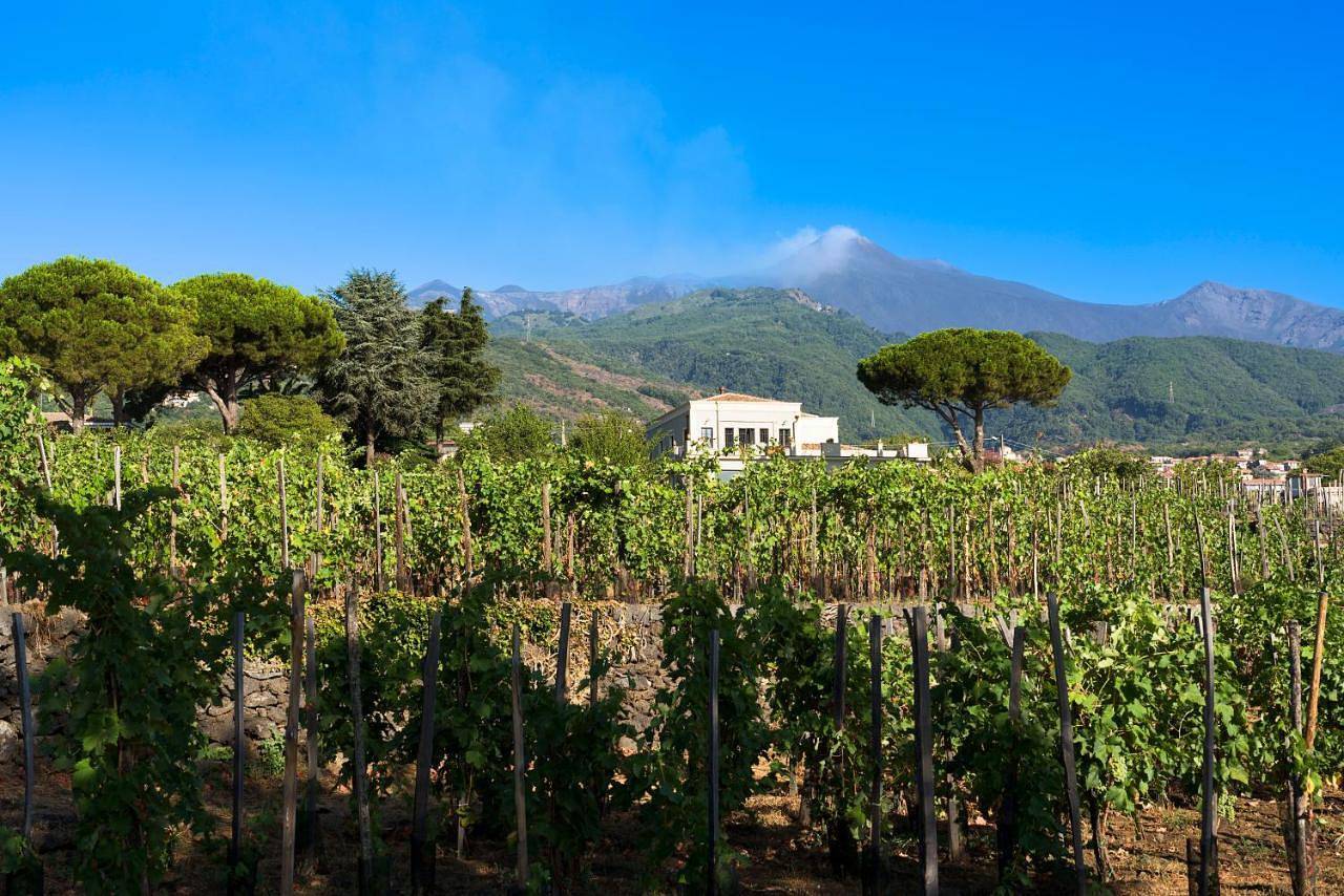 Double Room with Mountain View in Zafferana Etnea, Etna