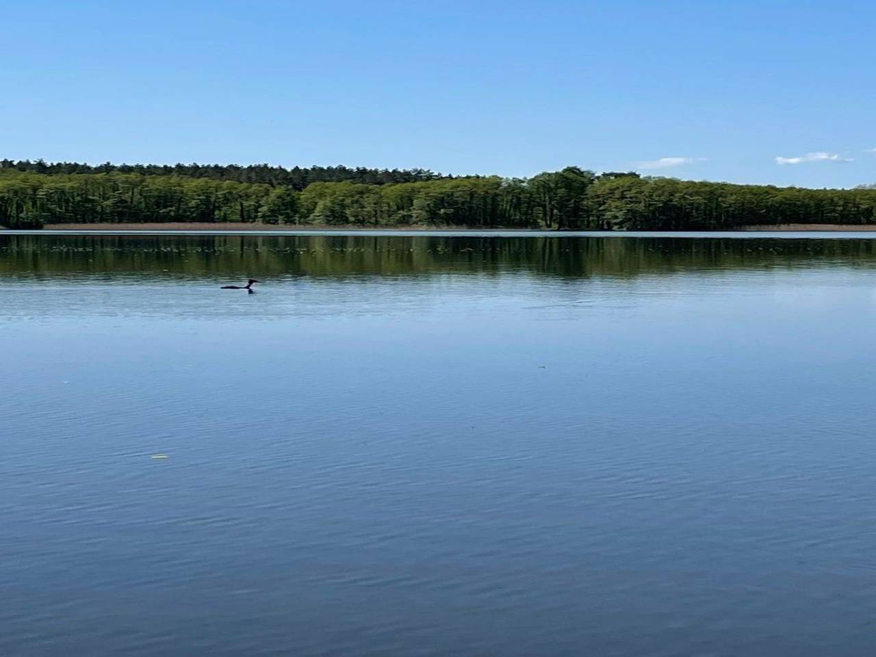 Charmantes kleines Häuschen am Blauen See in Dabel, Ludwigslust-Parchim