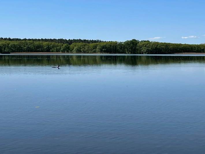 Ferienhaus für 2 Personen, mit Terrasse in Dabel - 4