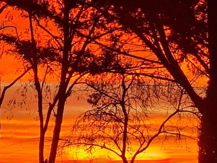 Maison d’hôte pour 3 personnes, avec terrasse et piscine ainsi que jardin et vue à Neuville-de-Poitou - 4