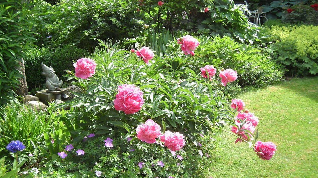 Ferienhaus für 5 Personen (65 m²) in Kirchlinteln in Kirchlinteln, Landkreis Verden