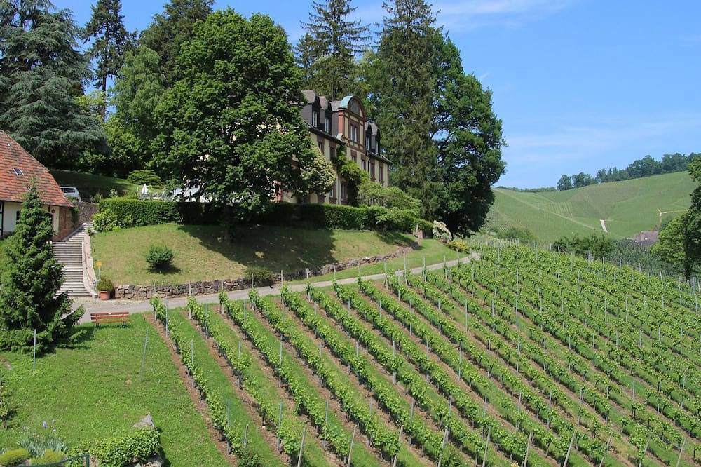 Ganze Wohnung, Übernachten im Weingut Neveu - Schlossblick in Durbach, Mittlerer Schwarzwald