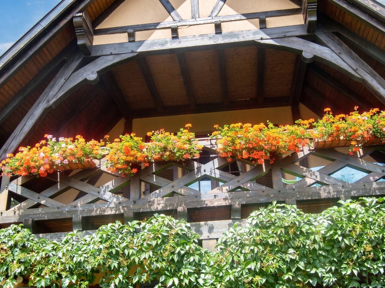 Appartement entier, Appartement charmant à Hochfelden - 100 m² et parking gratuit in Hochfelden, Région de Strasbourg