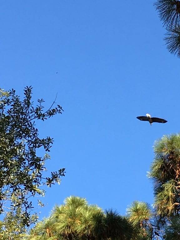 Toledo Bend Lakefront Cabin in der Nähe des \"Chicken Coop\", mit Private Boat Launch in Toledo Bend Reservoir