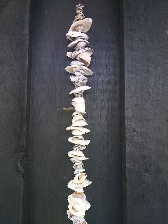 Cosy cottage by the seaside in Whangarei District