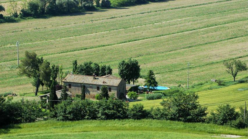 Location de vacances pour 13 personnes, avec piscine et jardin, animaux acceptés à Buonconvento - 3